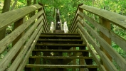 PICTURES/Keymoor Trail - New River Gorge/t_Up Stairs2.JPG